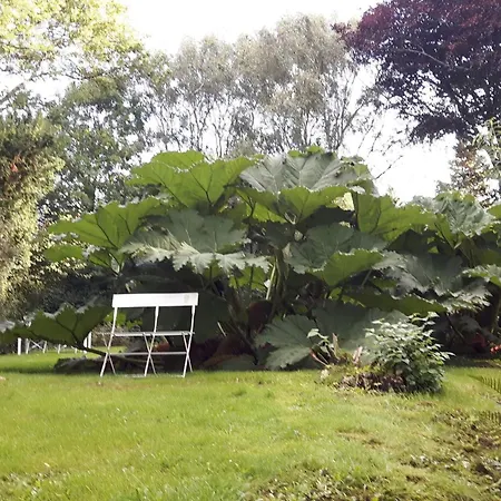 Tatil Evi 4 Person In Hurup Thy-by Traum *